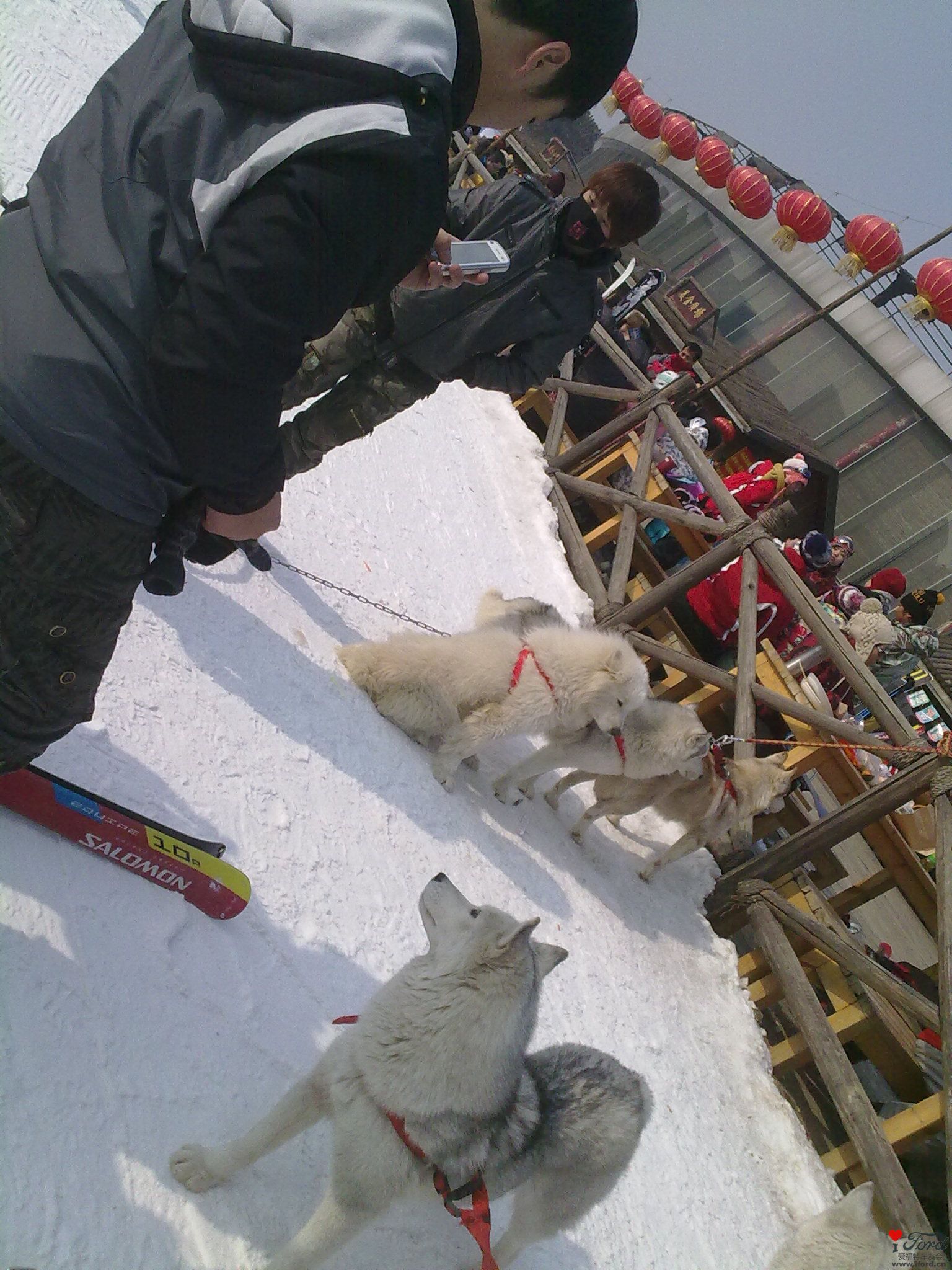 20110122315.jpg