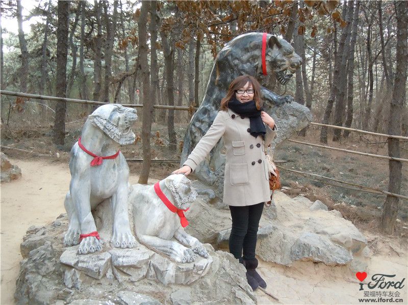 猫儿.jpg