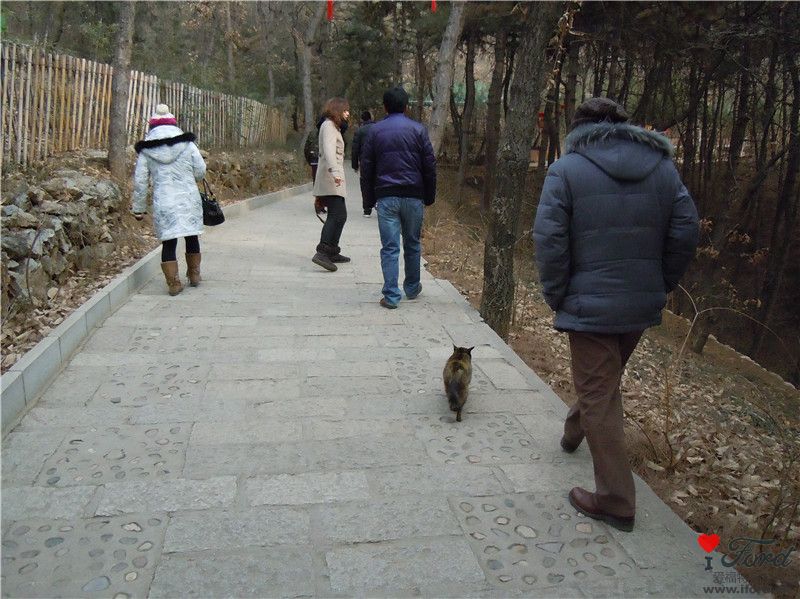 照片 038_副本.jpg