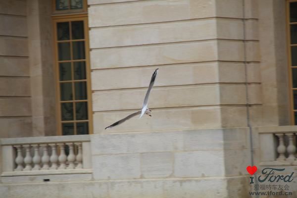 IMG_2921.JPG