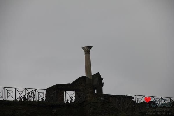 IMG_1532.JPG