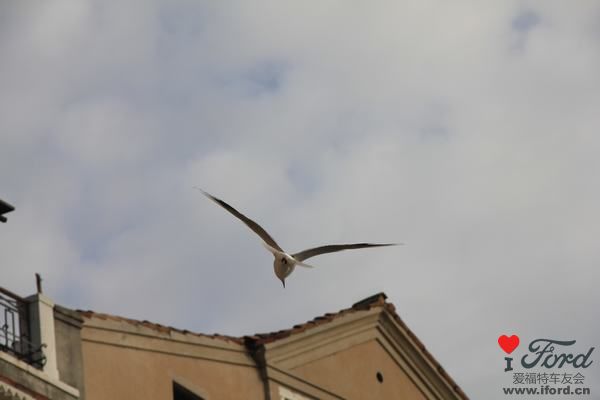 IMG_2249.JPG