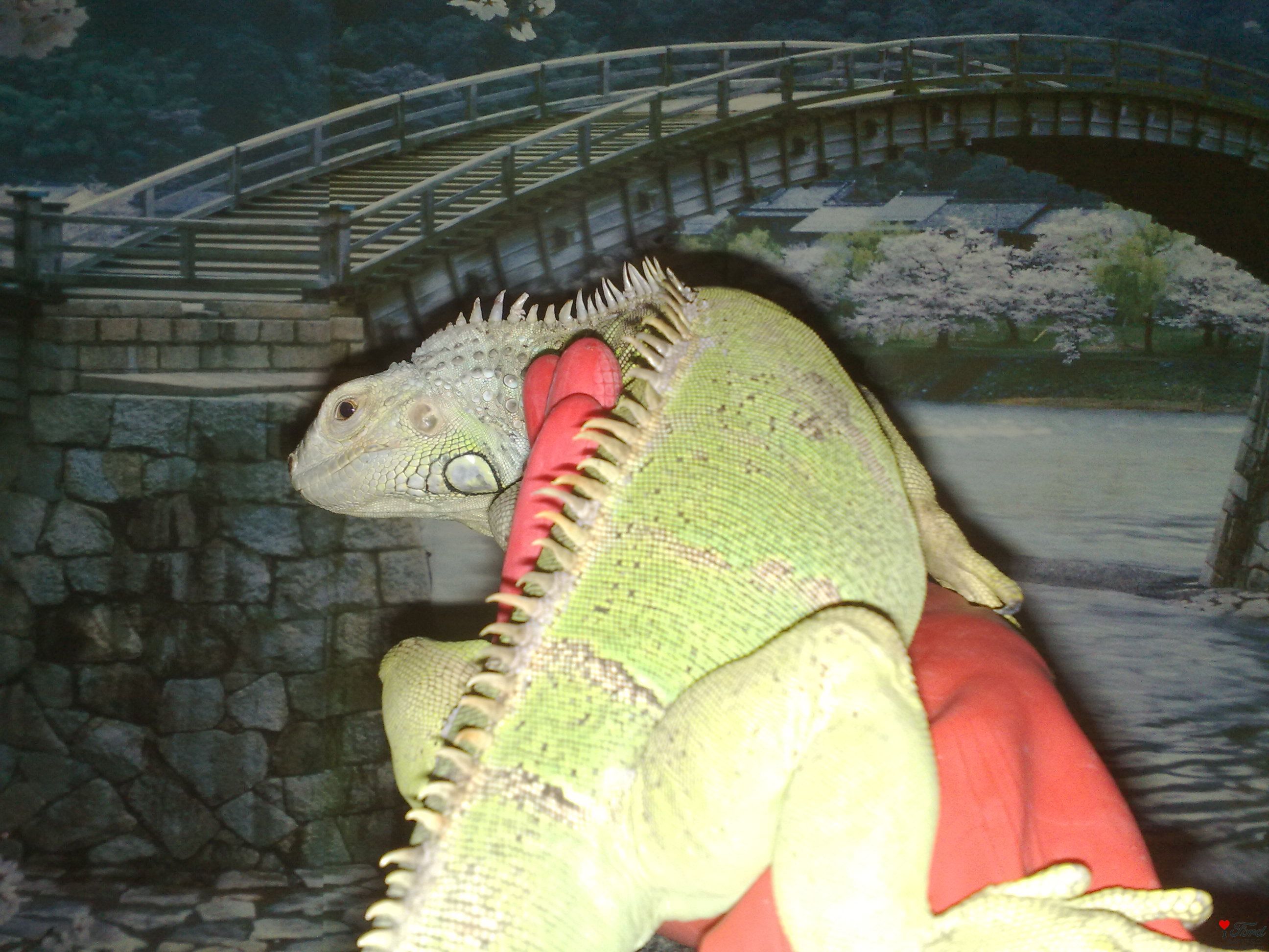 20110410881.jpg