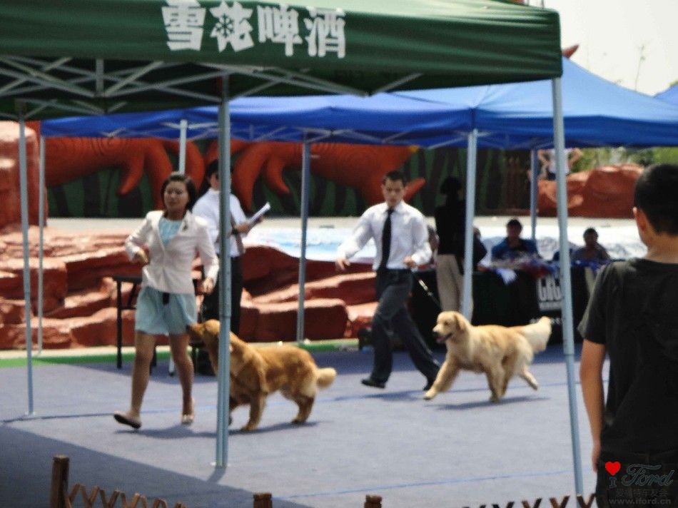 跑起来了注意了呵呵.JPG