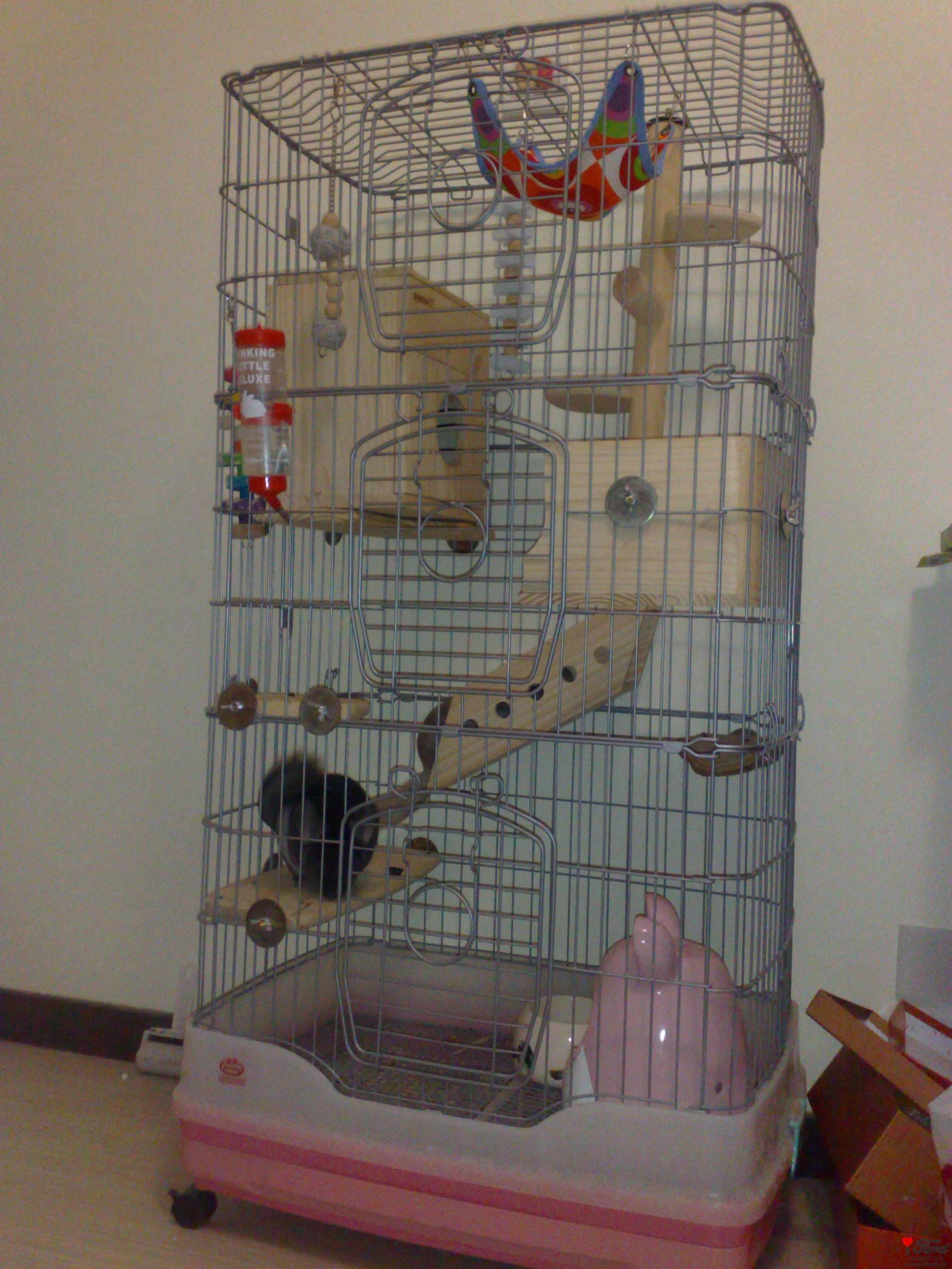20100809095.jpg