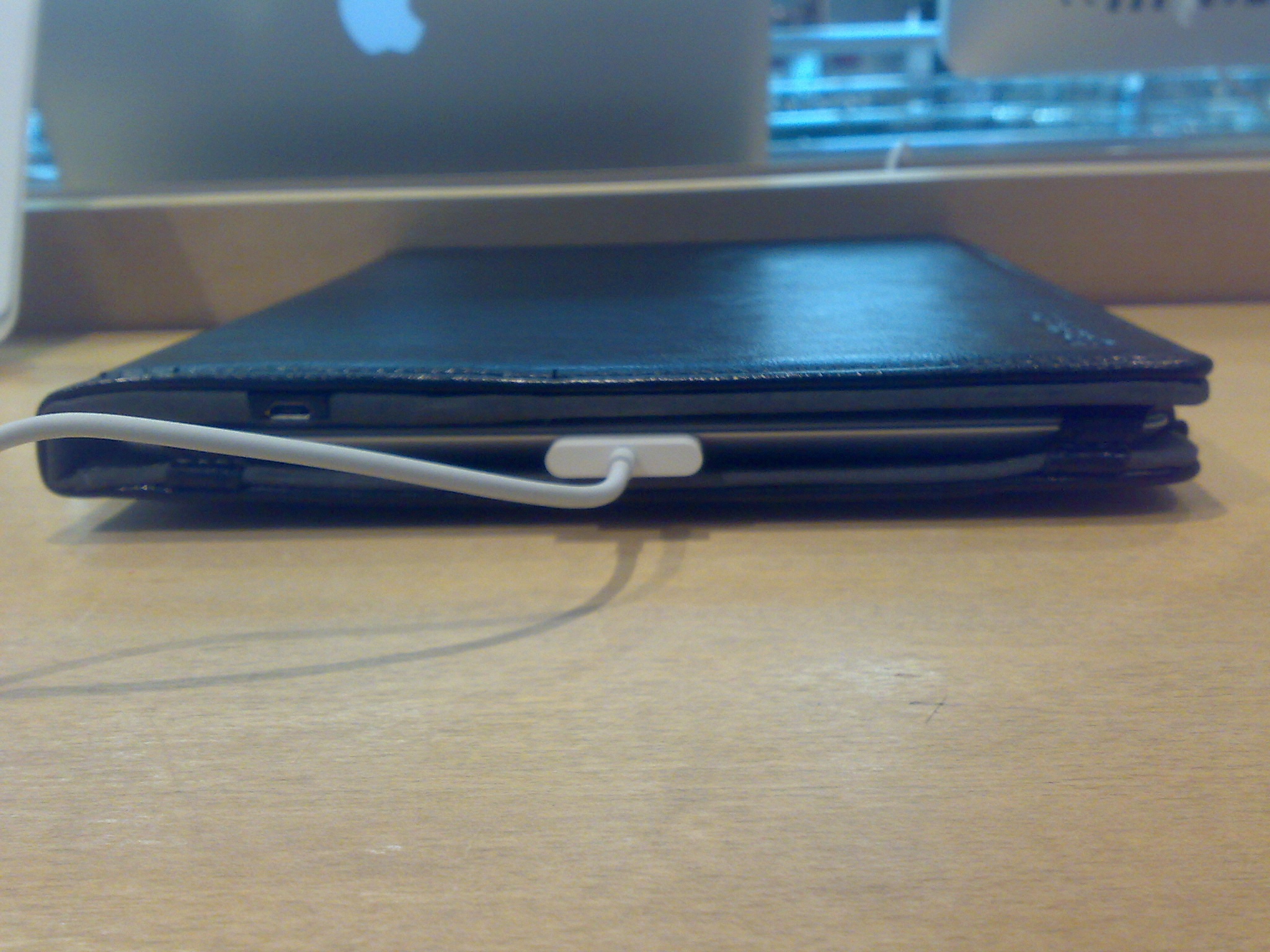 20110526397.jpg