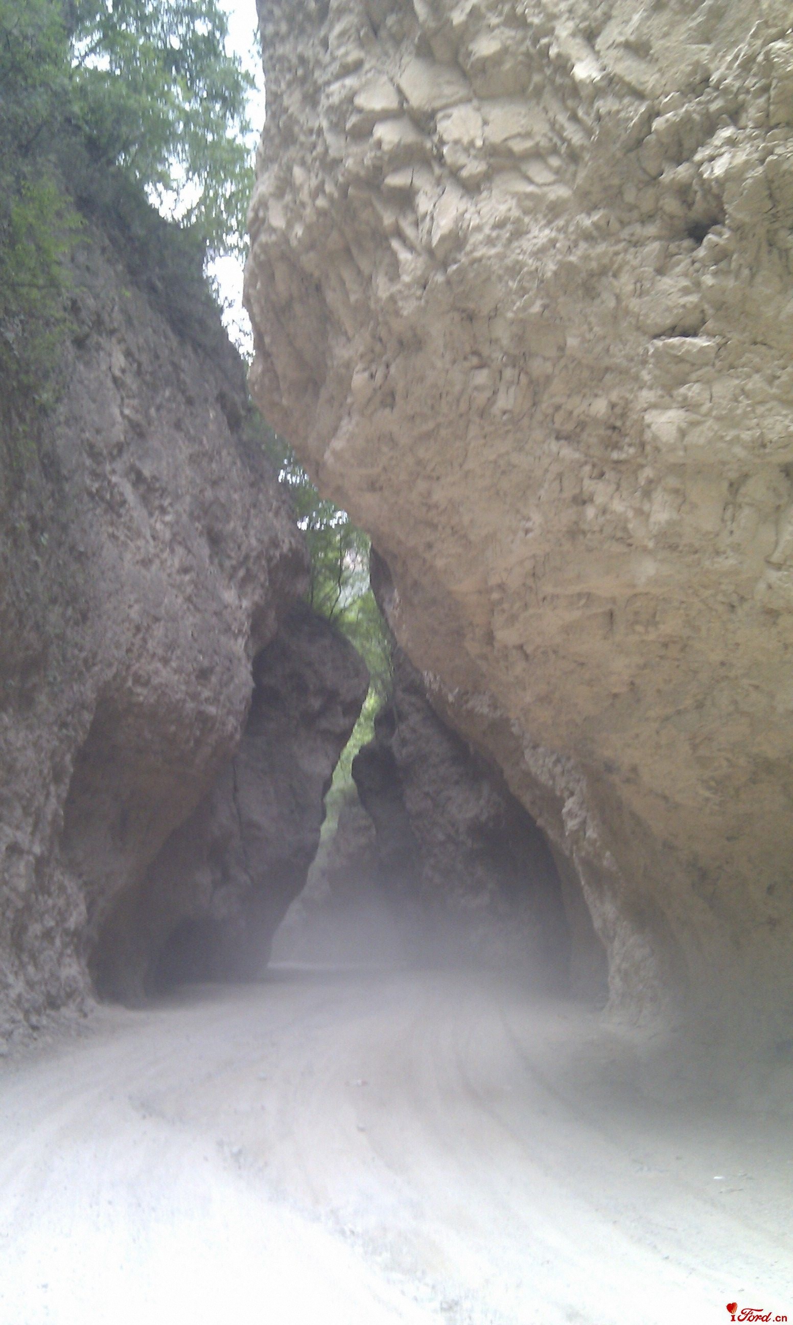 IMAG0401.jpg