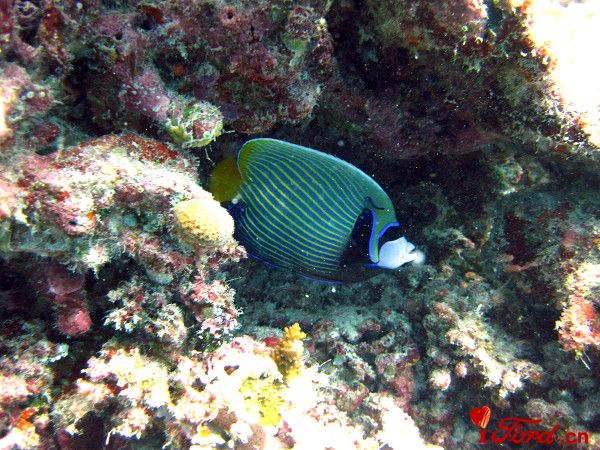 IMG_0208.JPG