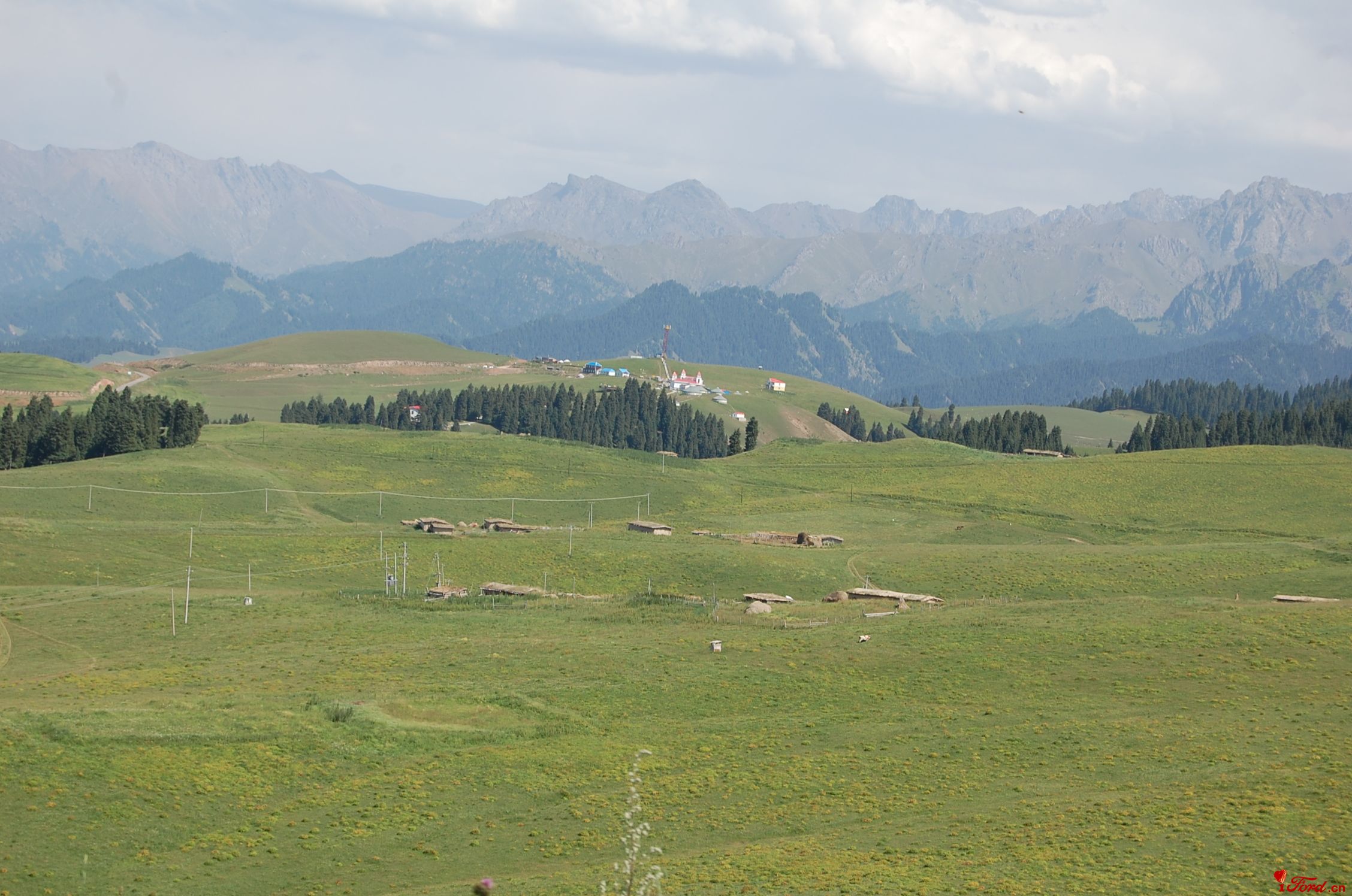 DSC_4581.JPG