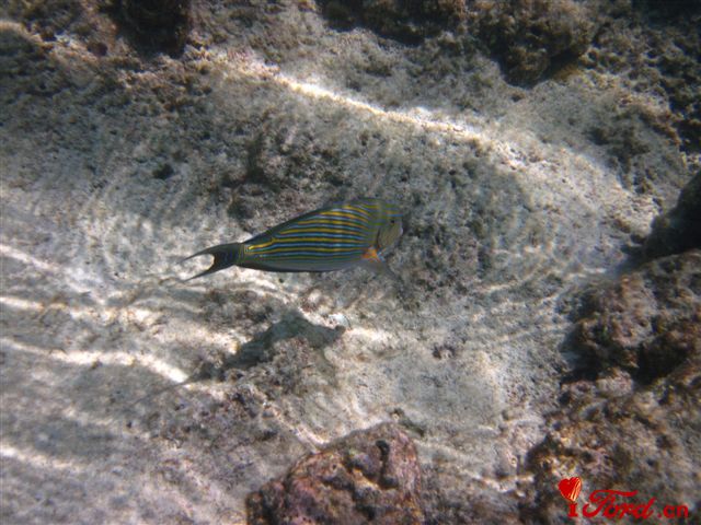 IMG_1884.jpg