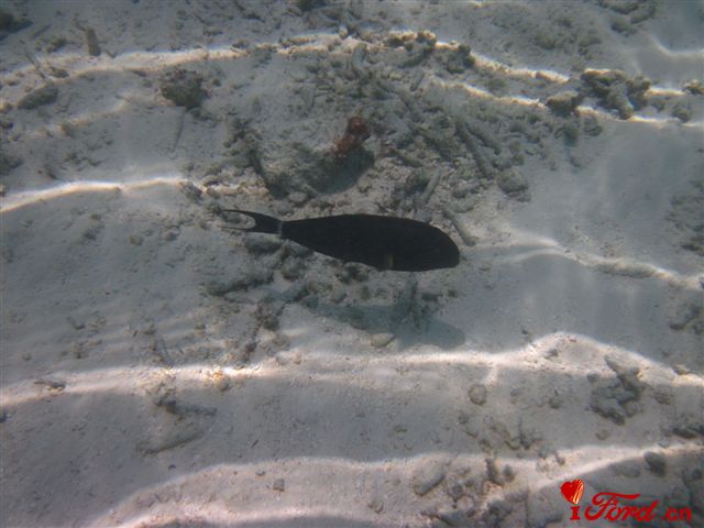 IMG_1903.jpg