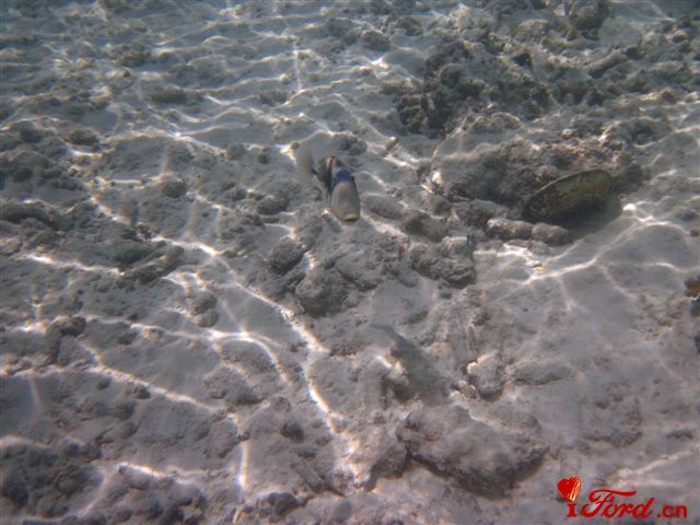 IMG_1922.jpg