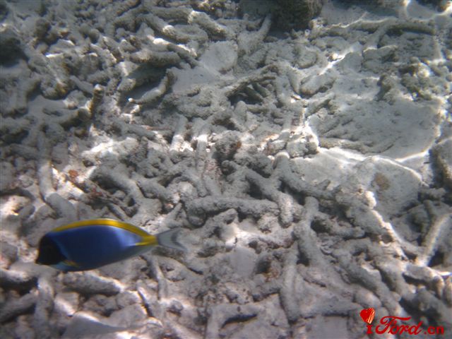 IMG_1964.jpg