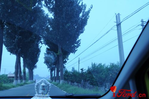 DSC_3363.JPG