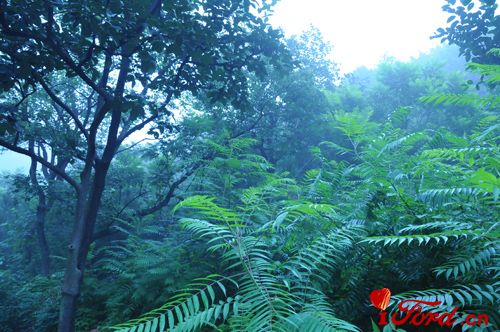 DSC_3539.JPG