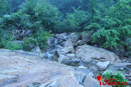 DSC_3573.JPG