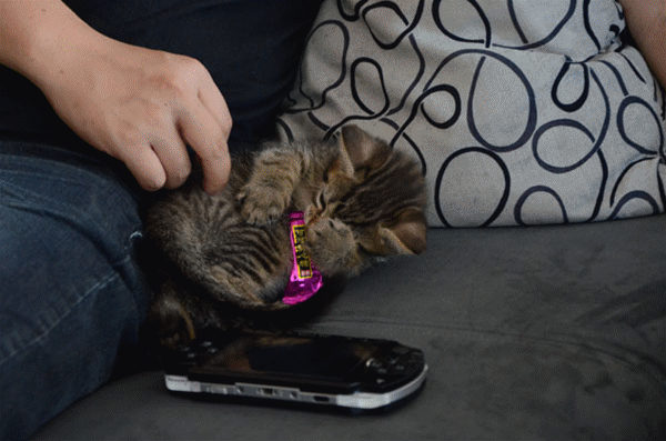DSC_4539_.gif