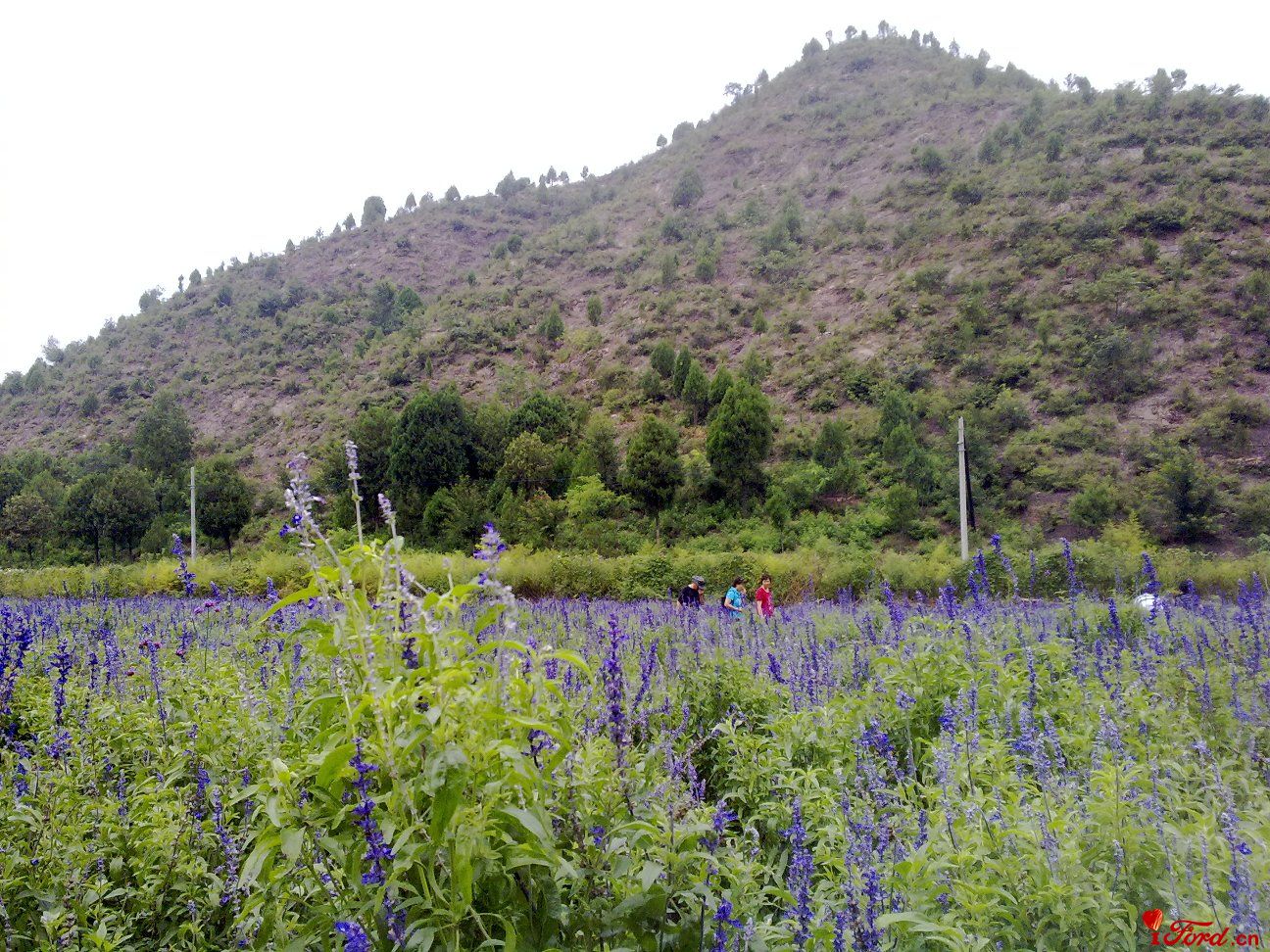 20110827322.jpg