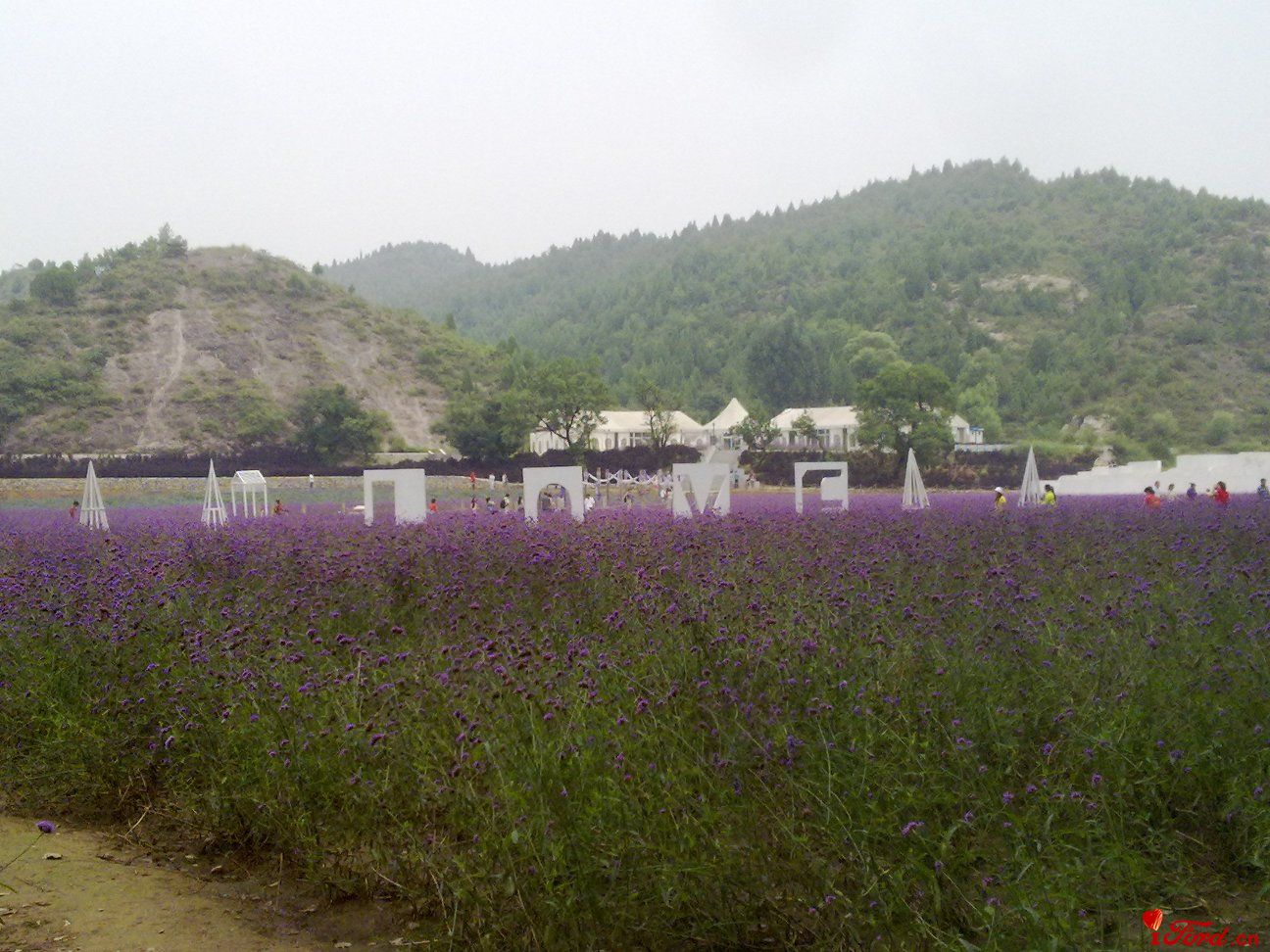 20110827333.jpg