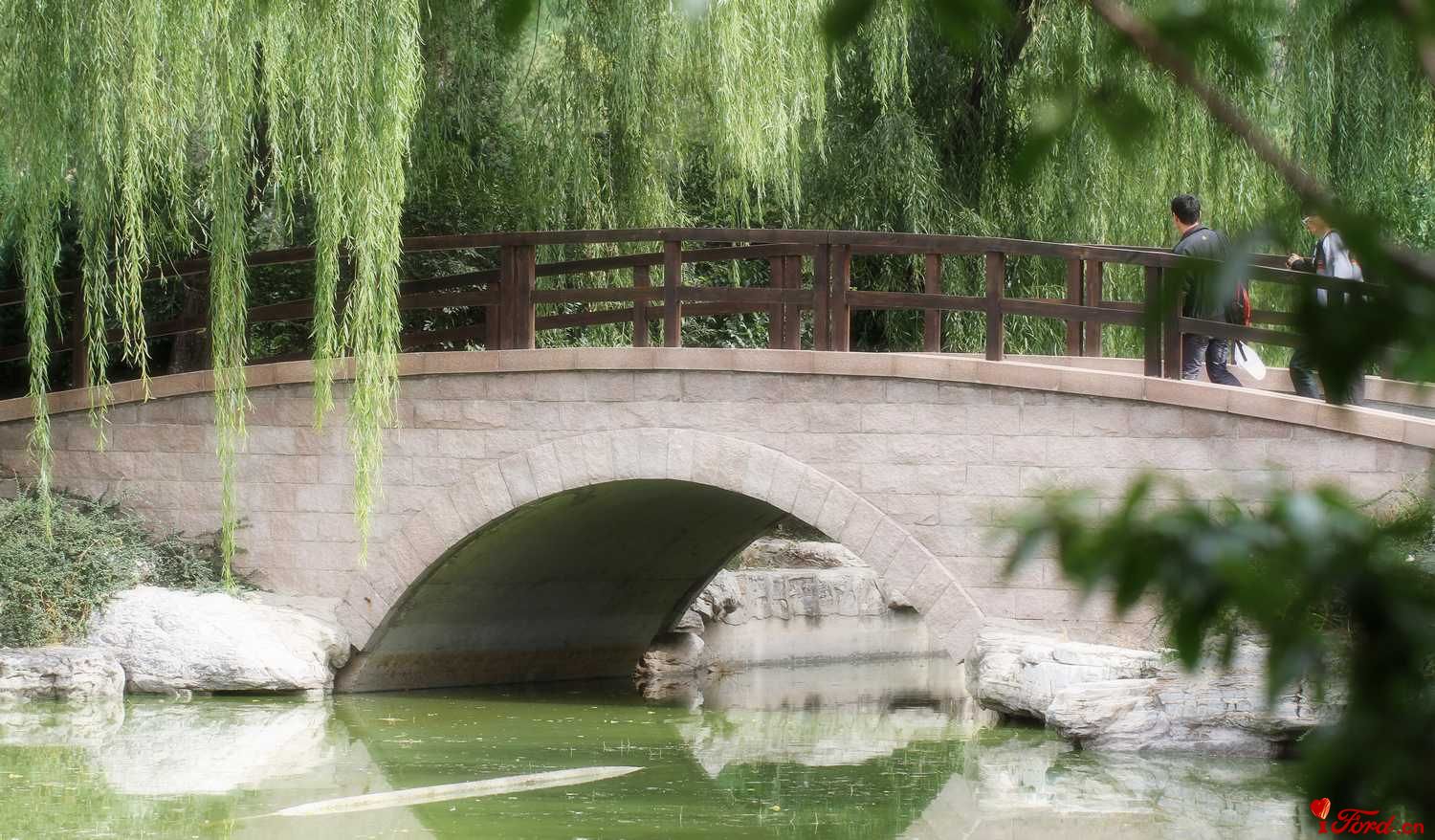 桥.jpg