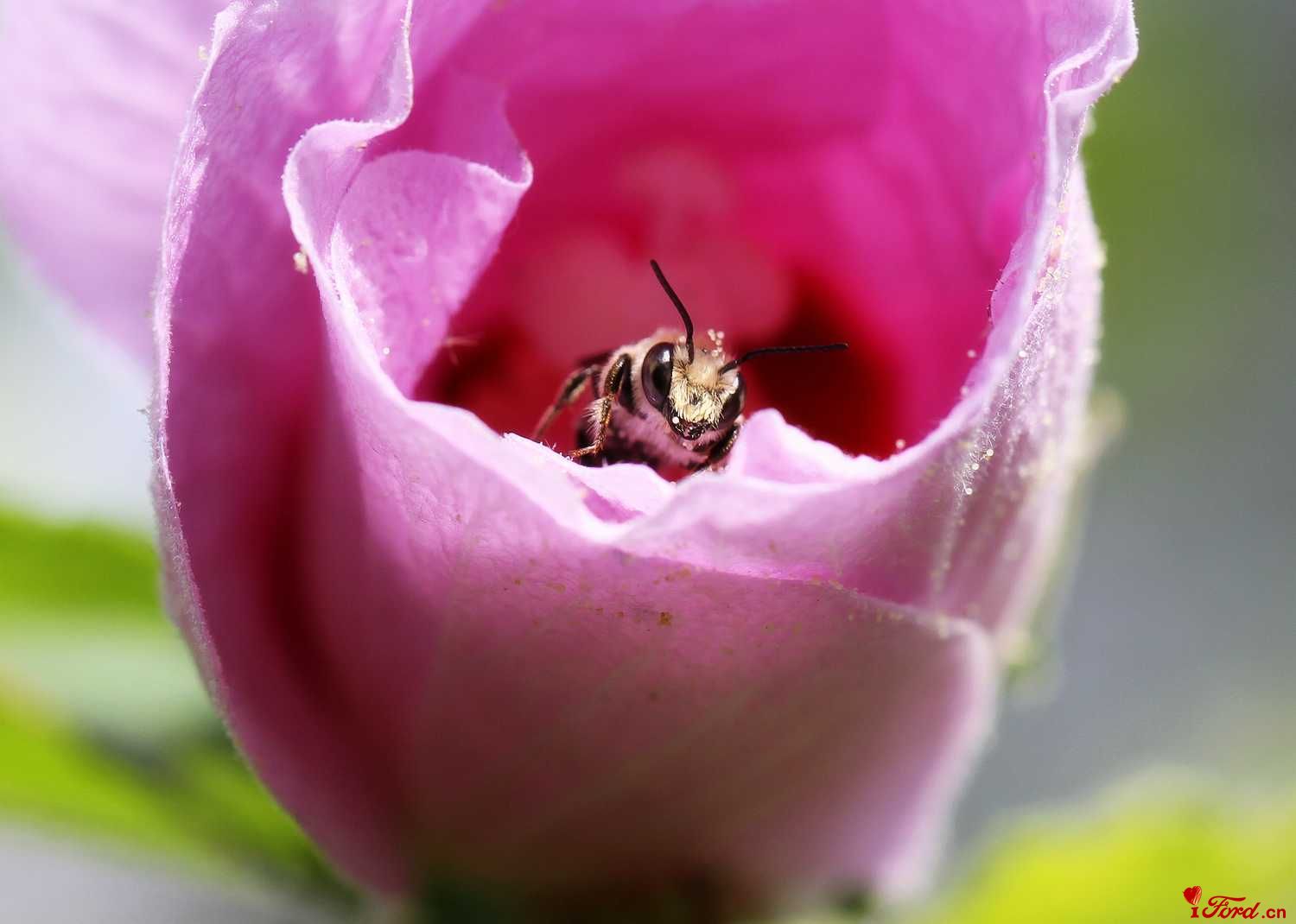 蜗居.jpg