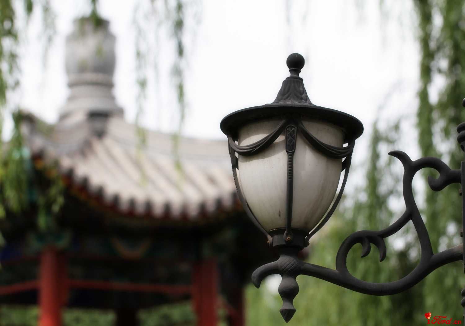 灯与亭.jpg