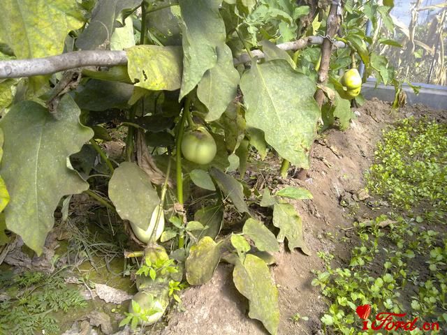 20111001410.jpg