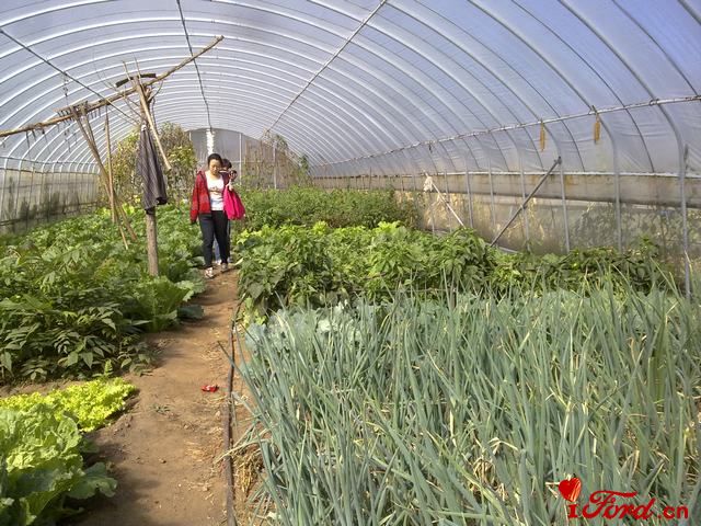 20111001413.jpg