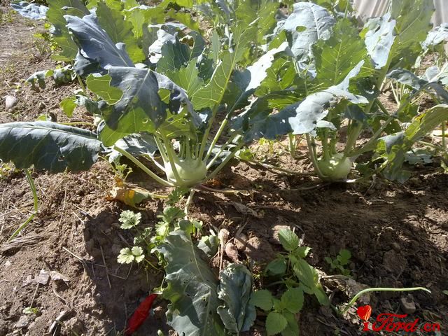 20111001415.jpg