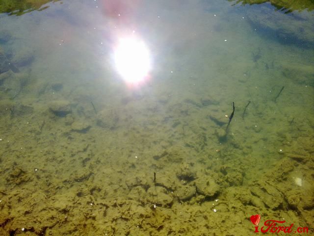 20111001429.jpg