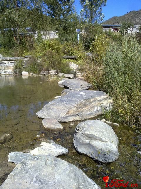 20111001439.jpg
