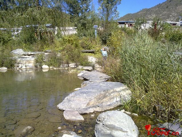 20111001440.jpg