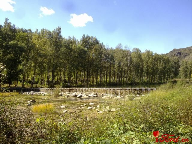 20111001445.jpg