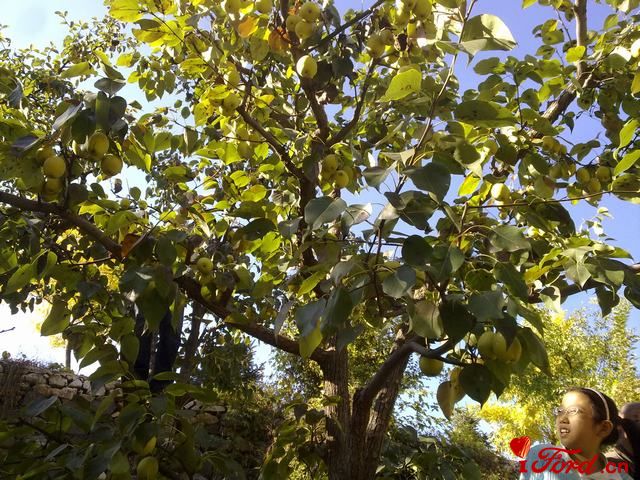 20111001454.jpg