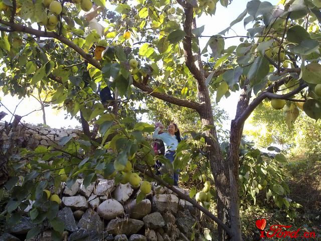 20111001455.jpg
