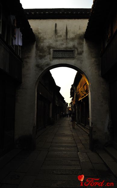 DSC_52511.jpg