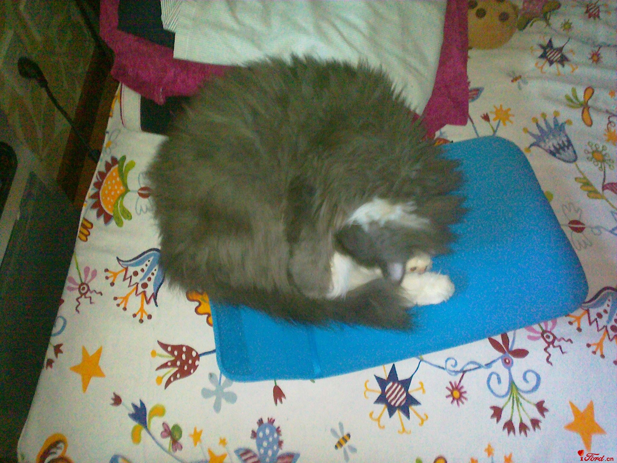 �������˯��������