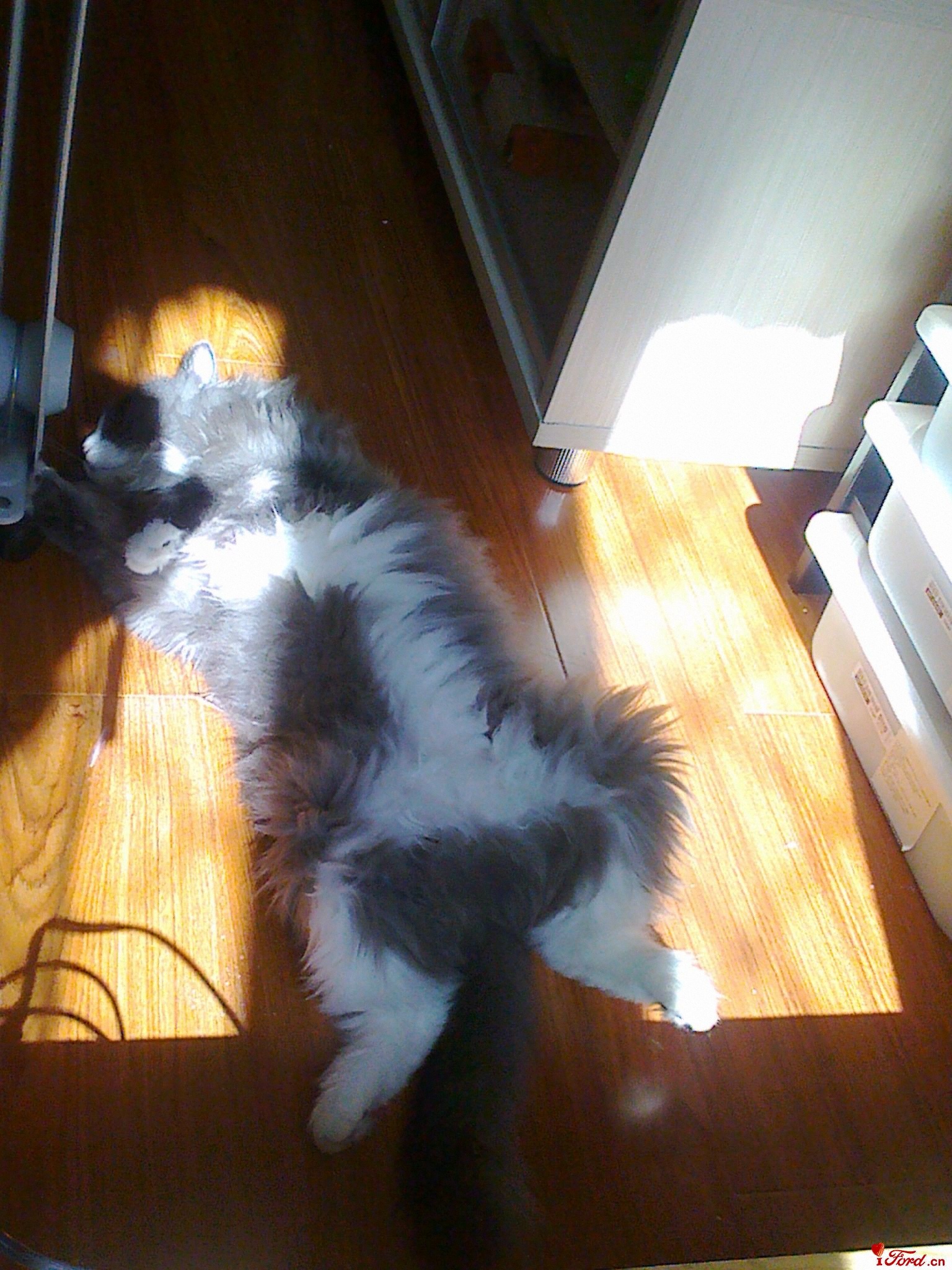 �������˯��