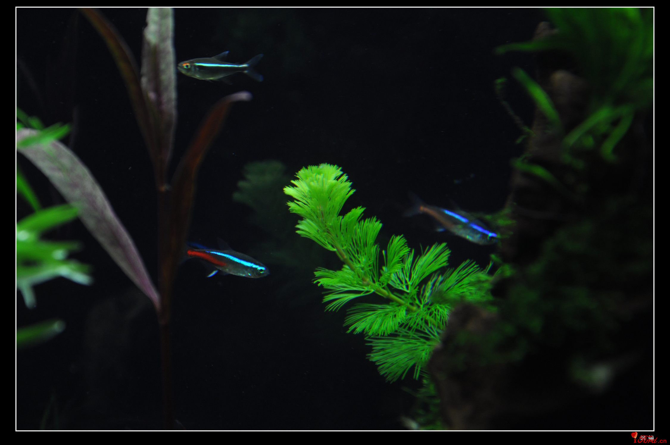 DSC_0120.JPG