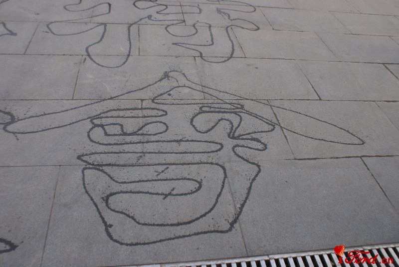 DSC08767.jpg