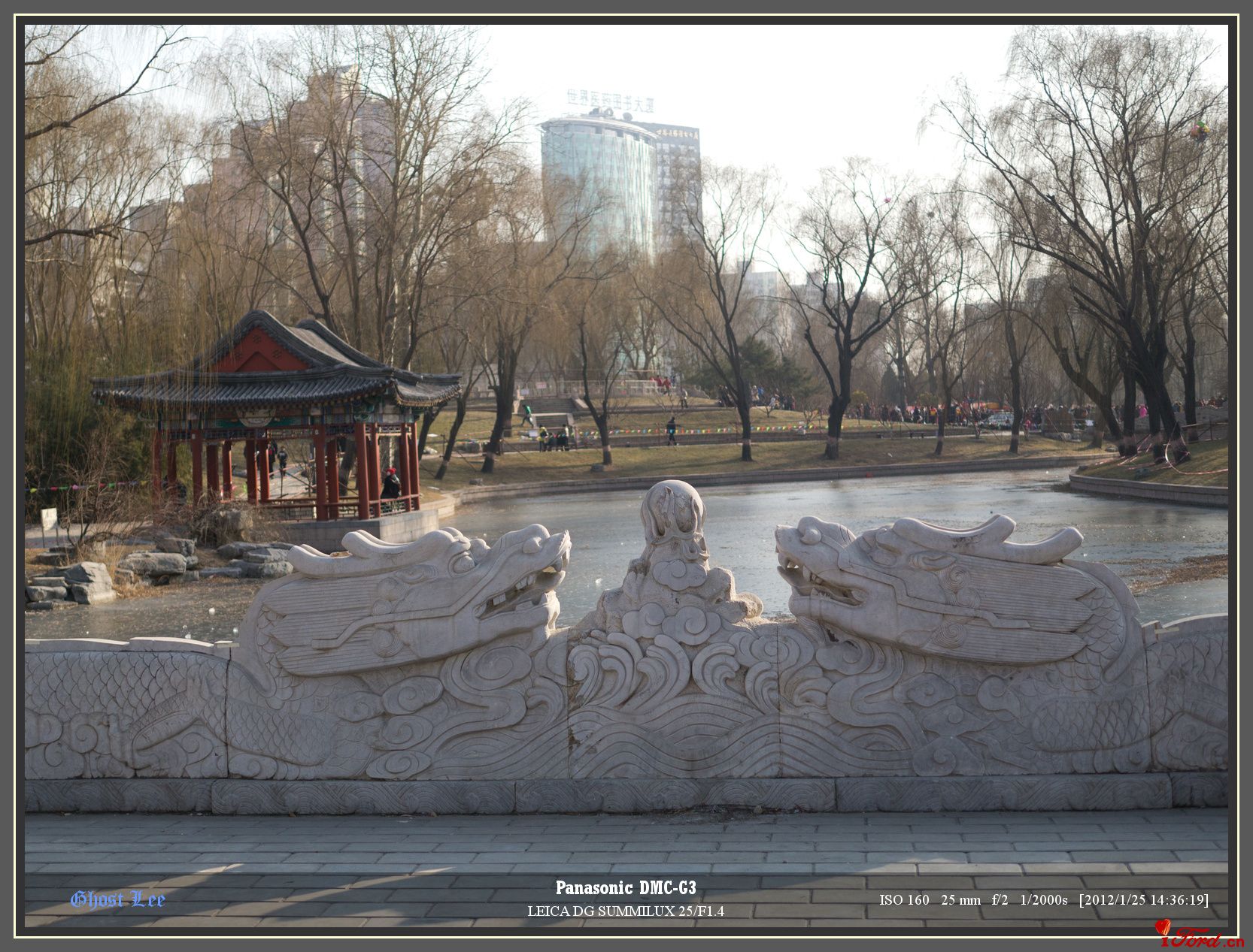 P1010294.jpg