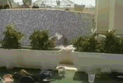 921997_320719492_-4c15693d-0.gif