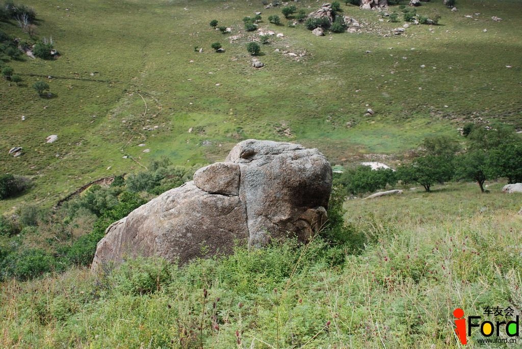 DSC_4482.jpg