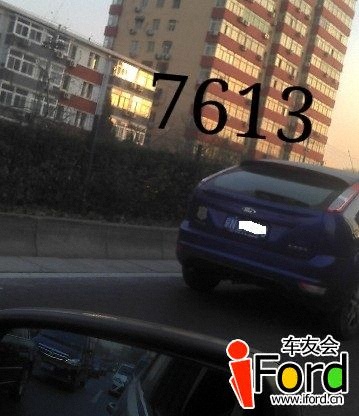7313.jpg
