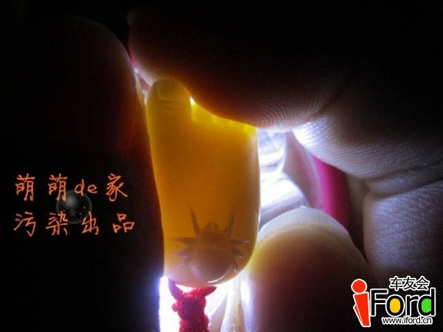 04.jpg