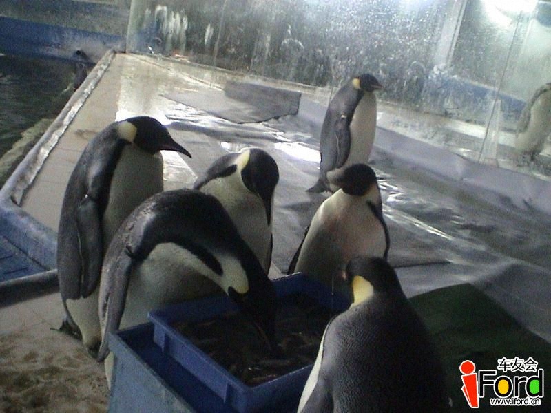 ������-����Χ�����Ե����������