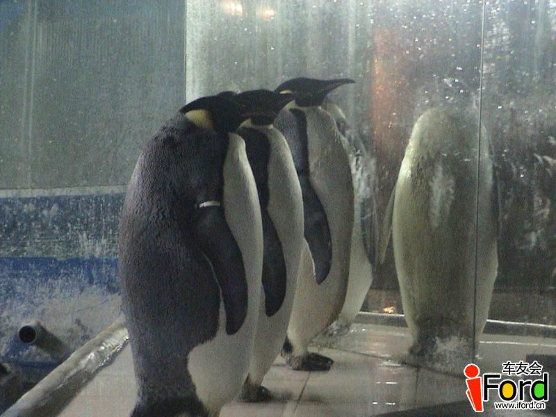 ���ӷ���