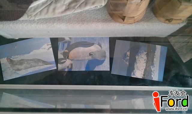 IMAG0983.jpg