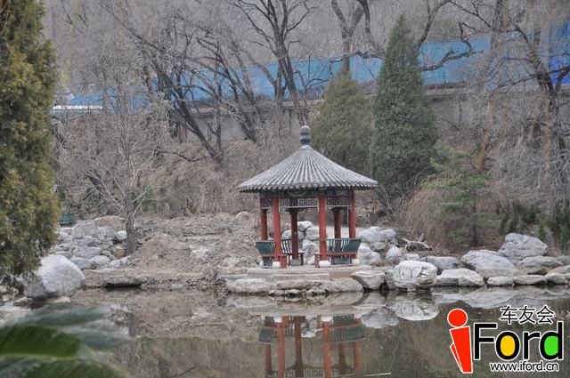 DSC_1351.JPG