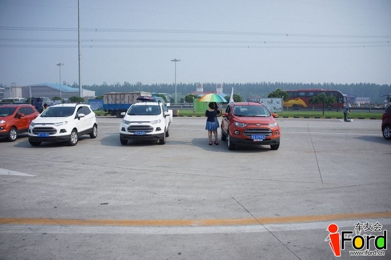 ���� (3).JPG